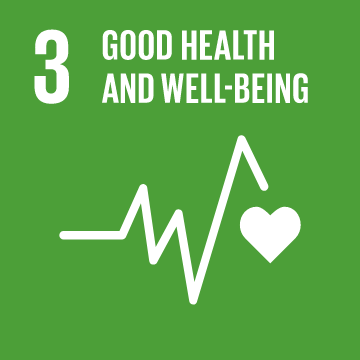 THE SUSTAINABLE DEVELOPMENT GOALS WE ARE CONTRIBUTING TO 2